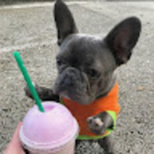 Meet your Posher, Maya